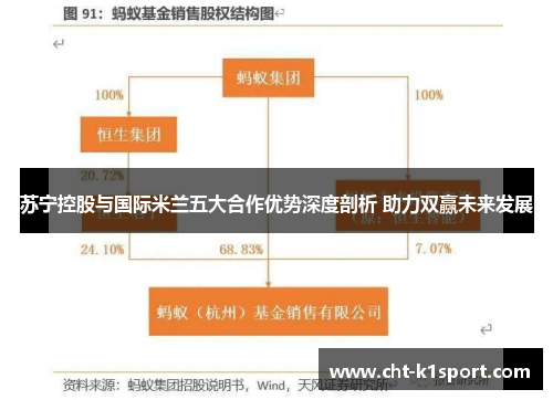 苏宁控股与国际米兰五大合作优势深度剖析 助力双赢未来发展